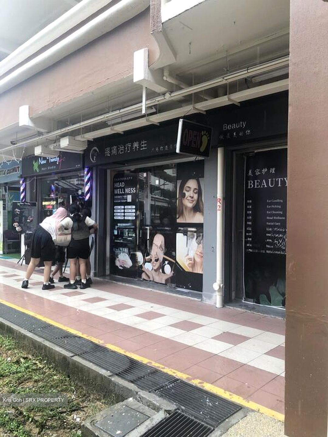 Tiong Bahru Orchid (D3), Shop House #511318291